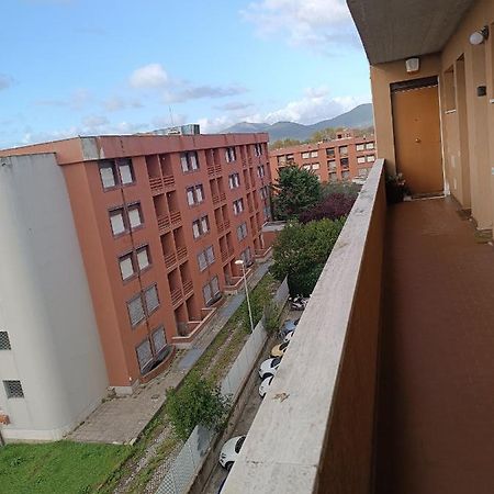 La Casina Accogliente Apartment Pisa Exterior photo